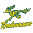San Diego Roadrunners logo